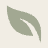 48 by 48 favicon